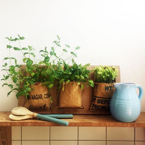 Hængehave - Billede 8